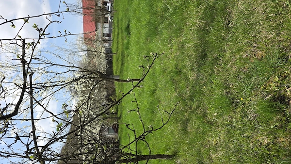 Teren intravilan 1048mp persoana fizica