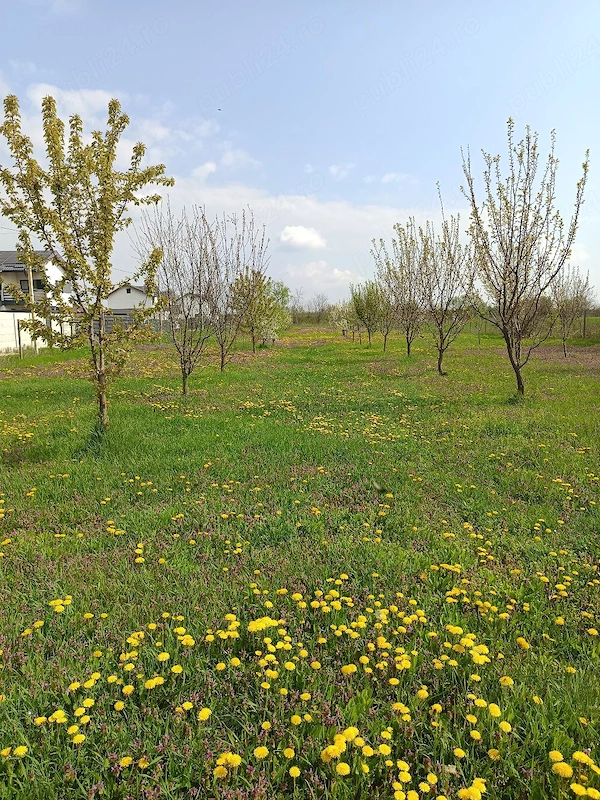 Teren intravilan parcelabil 6400mp si casa renovata - ideal investitii