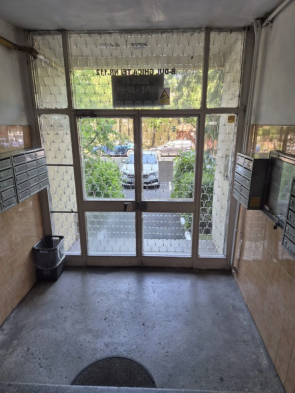 Colentina- Teiul Doamnei — fotografia 3