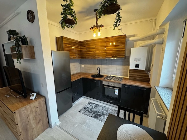 Proprietar Orsova Lujerului Uverturii — fotografia 3