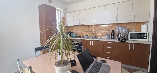 Apartament de vânzare in vilă, lângă supermarket Lidl, Moșnița Nouă -Buziașului — fotografia 1