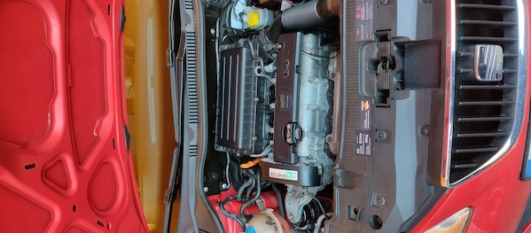 SEAT Ibiza 2010 — imagine 2