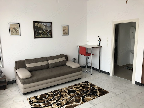 Proprietar, inchiriez garsoniera, 35mp, parter vila, str. Victor Hugo 31, Cl. Sagului - open space — fotografia 3
