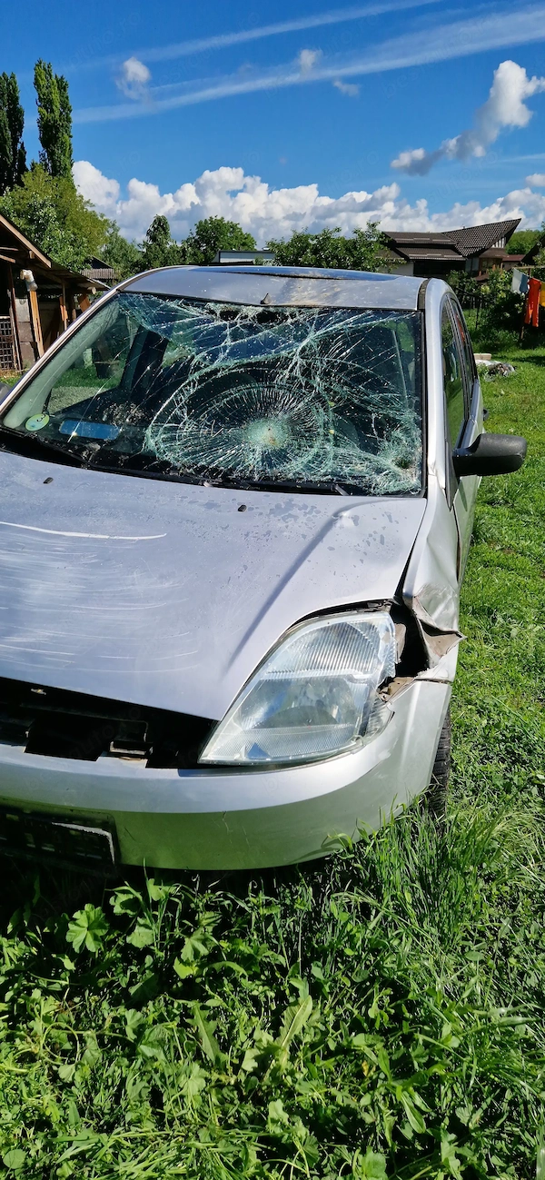 FORD Fiesta 2003 — imagine 10