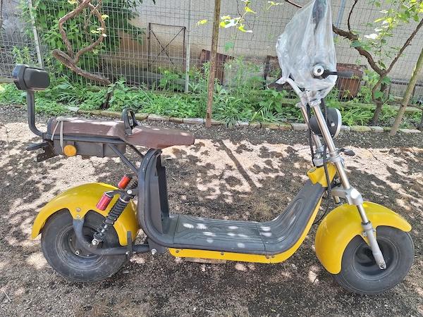Foto 5