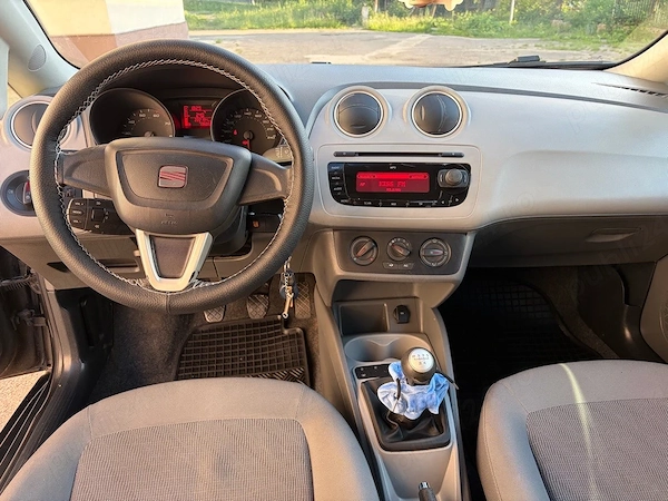 SEAT Ibiza 2010 — imagine 3