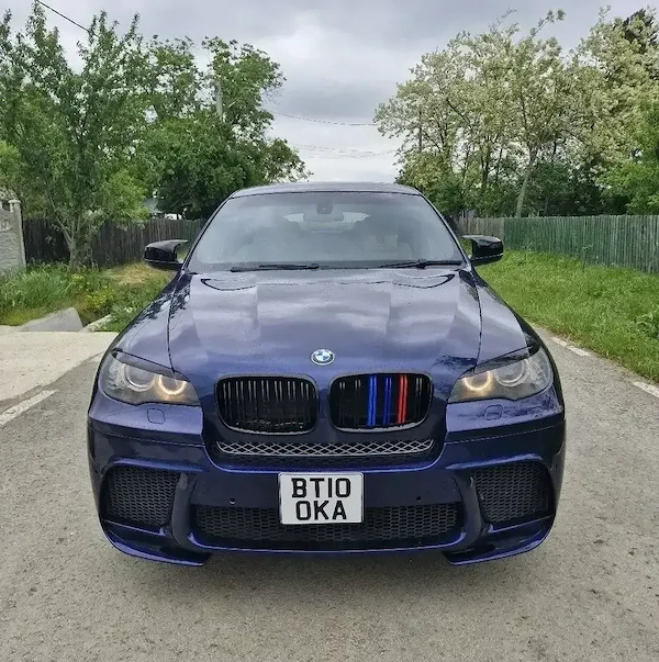 BMW X Series (Generic) 2010 — imagine 5