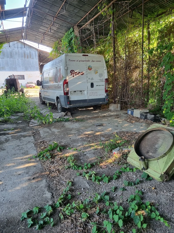 FIAT Ducato 2007 — imagine 4