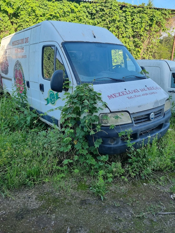 FIAT Ducato 2007 — imagine 2