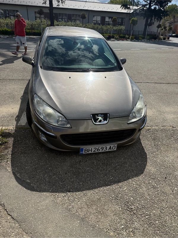 PEUGEOT 407 2004 — imagine 2
