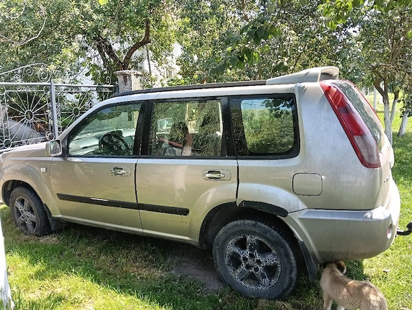 NISSAN X-Trail 2005 — imagine 3