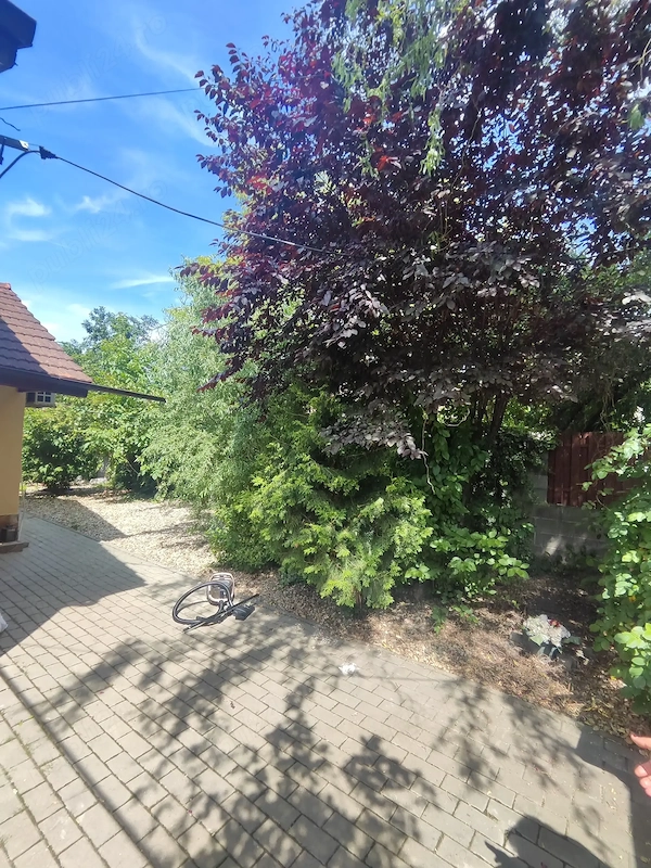 Proprietar închiriez apartament la casa Timișoara — fotografia 1