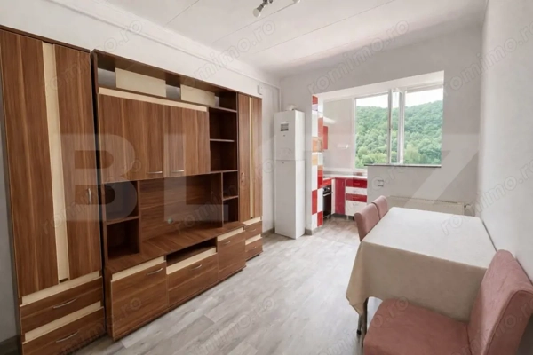 Apartament 2 camere, decomandat, 60 mp, etaj intermediar, Porii — fotografia 3