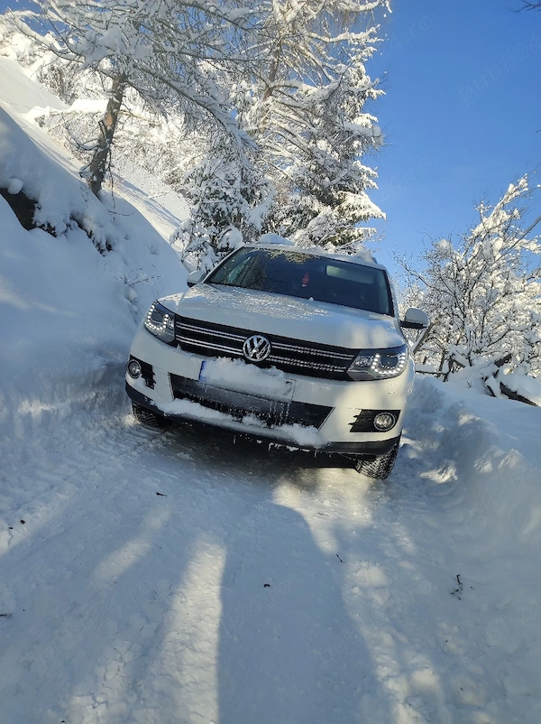 VOLKSWAGEN Tiguan 2012