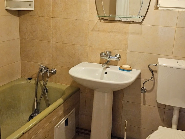 inchiriez apartament curte comuna Moșnița nouă — fotografia 1