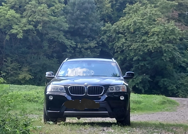 BMW X Series (Generic)