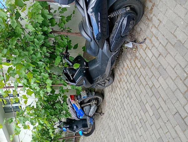 Foto 4