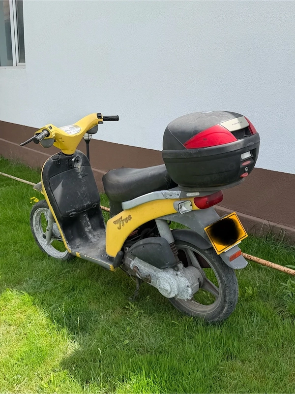 Foto 5