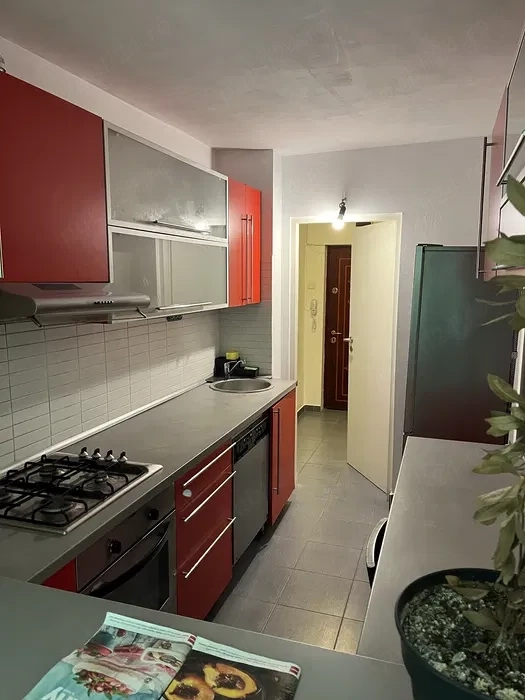 apartament 2 camere-dristor-park lake — fotografia 1
