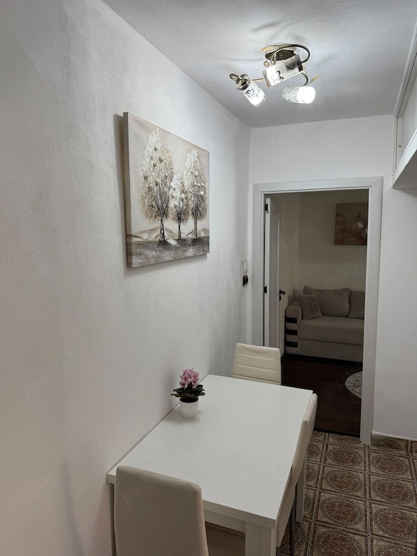 Apartament Doua Camere Calea Girocului — fotografia 1