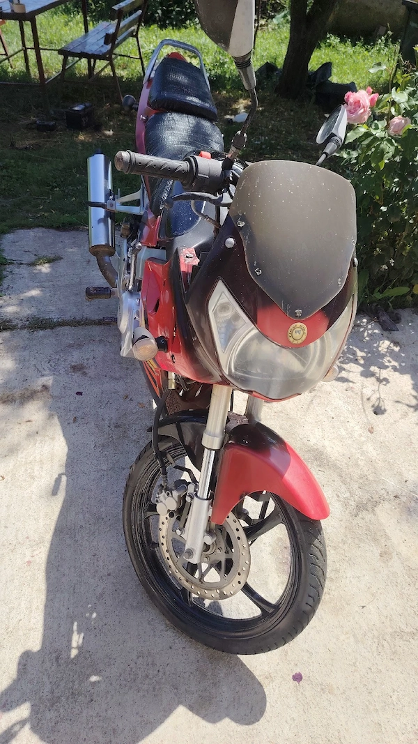 Foto 6