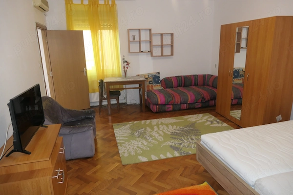Apartament 1 cameră, foarte spațios, cu termotecă, central - Podgoria — fotografia 1