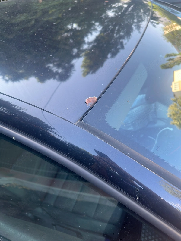VOLKSWAGEN Golf 2008 — imagine 4
