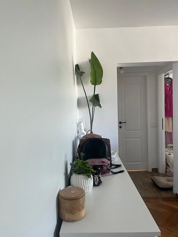 Apartament cu 3 camere la pas de Palas cu parcare — fotografia 3