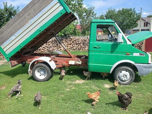 IVECO Daily 1995 — imagine 3