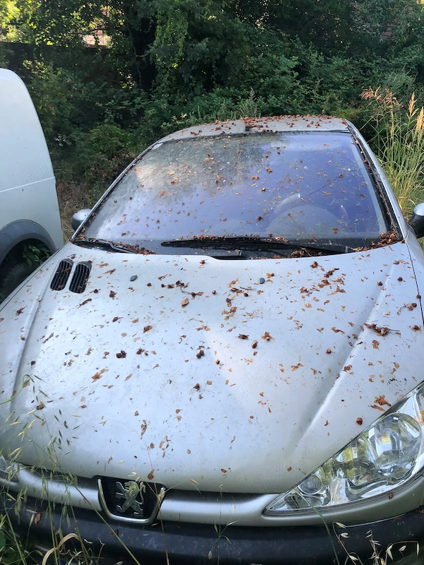 Vand Peugeot 206, an 2003 pret 700 negociabil