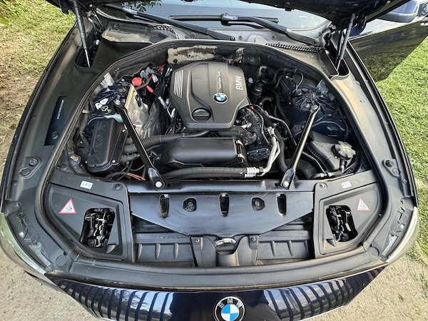 BMW 5 Series 2015 — imagine 10