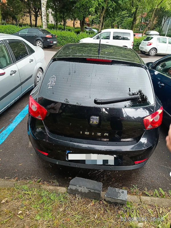 SEAT Ibiza 2010 — imagine 2