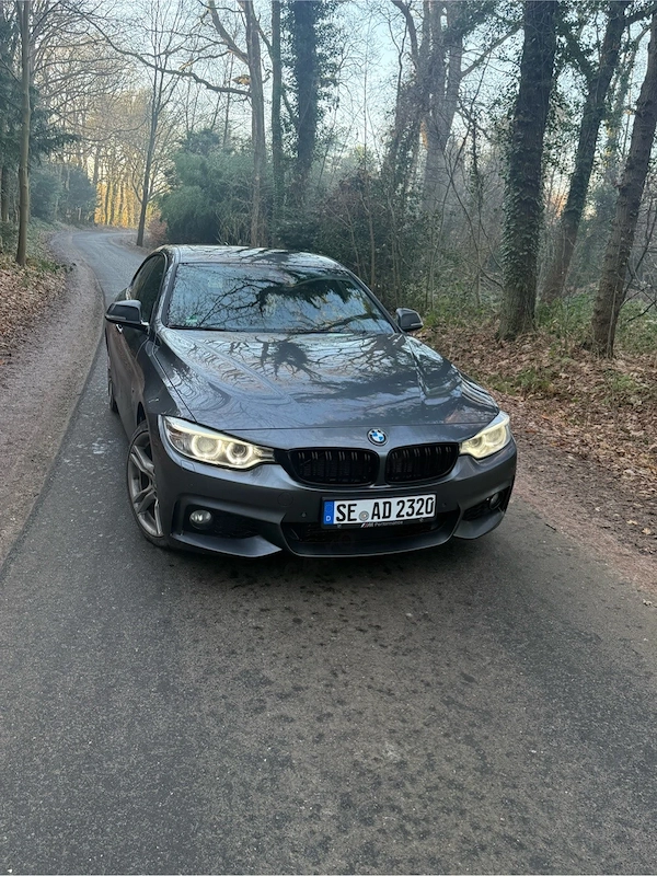 BMW 4 Series 2016 — imagine 2