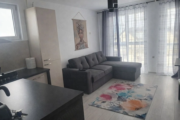 Apartament tip studio 45 mp Sanpetru — fotografia 3