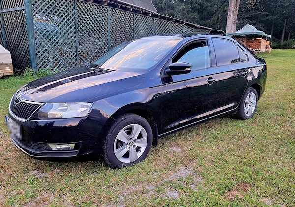 SKODA Rapid 2019 — imagine 4