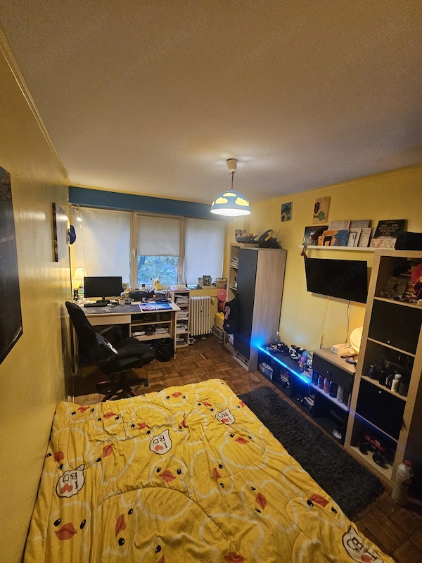 Vând Apartament 3 camere | Câmpia Libertății | Aproape de Piața Muncii — fotografia 3
