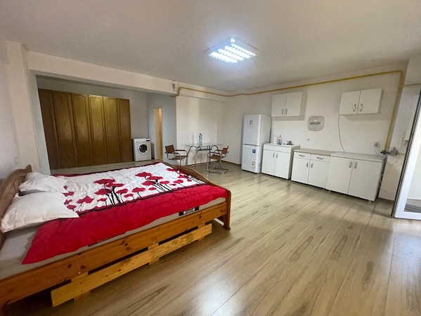 Studio open-space, 47 mp total, etaj 1, Brazda lui Novac - Valea Gangului — fotografia 1