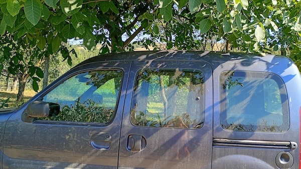 RENAULT Kangoo 2004 — imagine 2