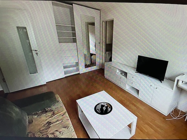 Inchiriez apartament 2 camere, Calea Romanilor(zona Boul Rosu) — fotografia 1