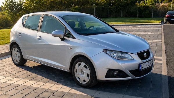 SEAT Ibiza 2010 — imagine 4