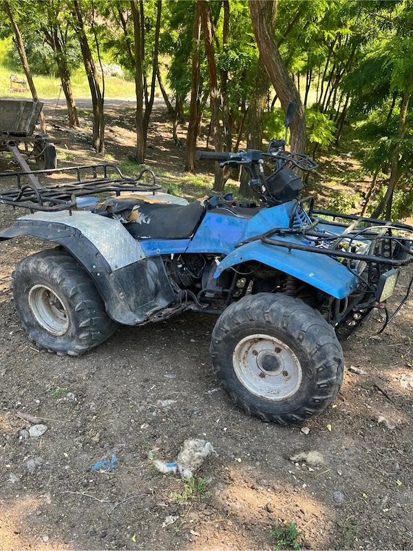 Vand Suzuki QuadRunner 250