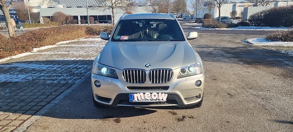 BMW X Series (Generic) 2012 — imagine 4
