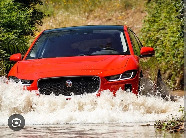 JAGUAR Unknown Model 2019 — imagine 2