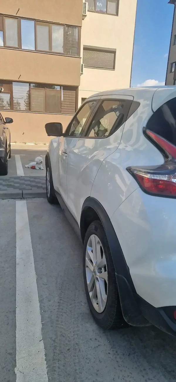 NISSAN Juke 2016 — imagine 4