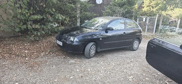 seat ibiza 1.9 sdi înmatriculat ro