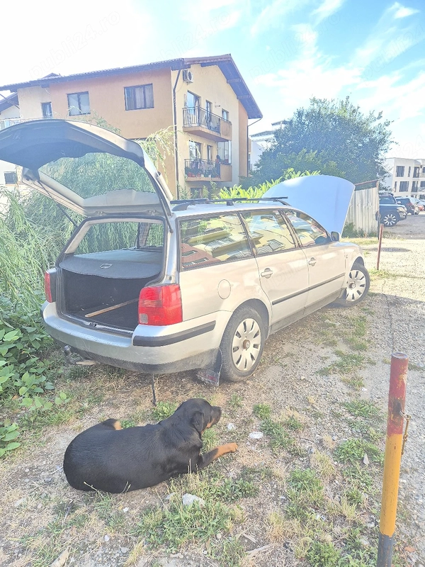 VOLKSWAGEN Passat 2000 — imagine 3