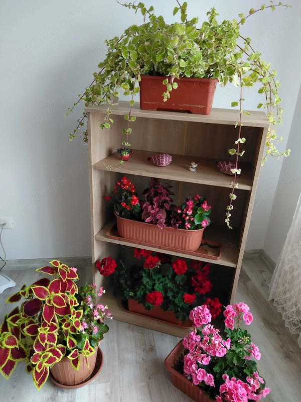 Persoană fizică vând apartament in Florești,Cluj la 20 minute de centrul comercial Urbano — fotografia 3