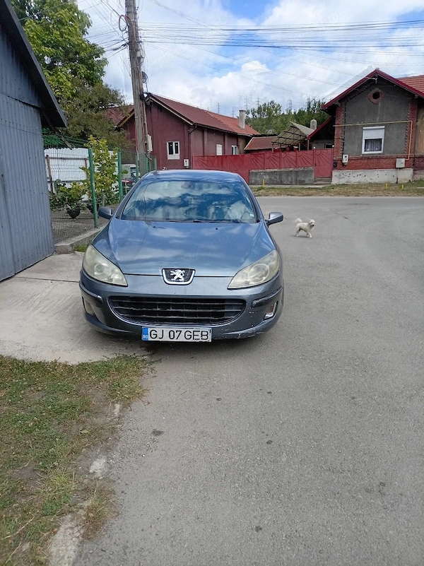 PEUGEOT 407 2005 — imagine 5