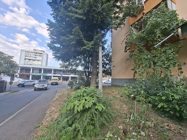 Apartament 2 camere de vanzare strada Aleea Biruintei si balcon etaj 4 Mihai Viteazul — fotografia 3