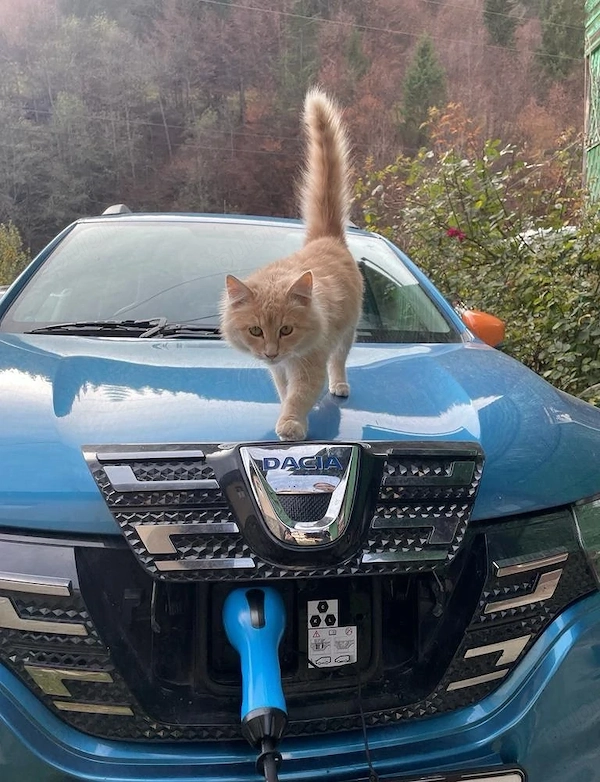 DACIA Spring